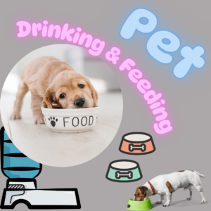 pet-drinking-feeding